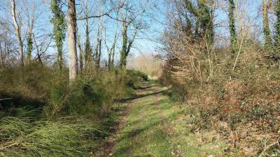 02/03/2025 Les Ressuintes