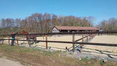 02/03/2025 Les Ressuintes