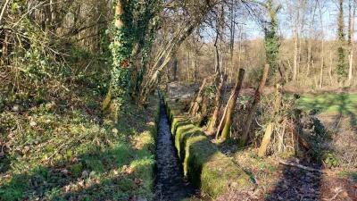 02/03/2025 Les Ressuintes