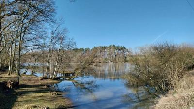 02/03/2025 Les Ressuintes