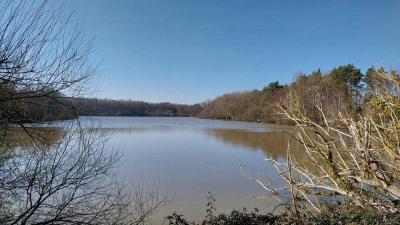 02/03/2025 Les Ressuintes