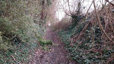 09/03/2025 St Cyr la Rosière