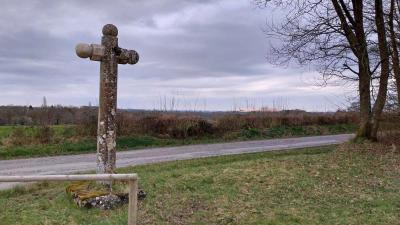 09/03/2025 St Cyr la Rosière