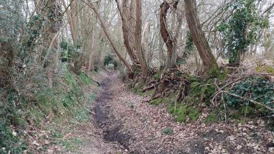 09/03/2025 St Cyr la Rosière