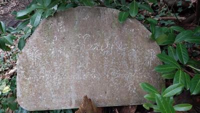 09/03/2025 St Cyr la Rosière