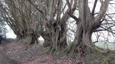 09/03/2025 St Cyr la Rosière