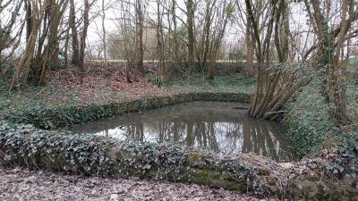 09/03/2025 St Cyr la Rosière