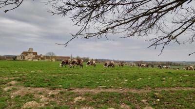 09/03/2025 St Cyr la Rosière