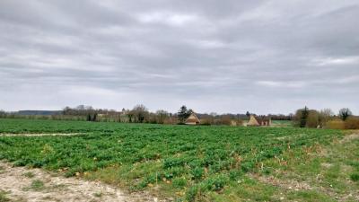 09/03/2025 St Cyr la Rosière