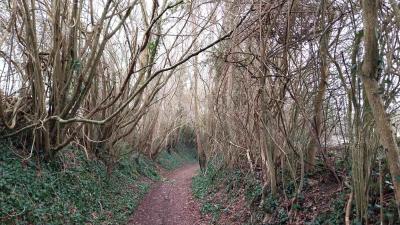 09/03/2025 St Cyr la Rosière