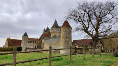 09/03/2025 St Cyr la Rosière