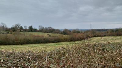 09/03/2025 St Cyr la Rosière