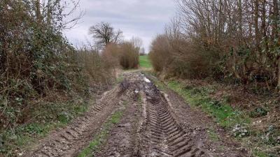 09/03/2025 St Cyr la Rosière