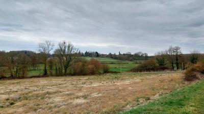 09/03/2025 St Cyr la Rosière