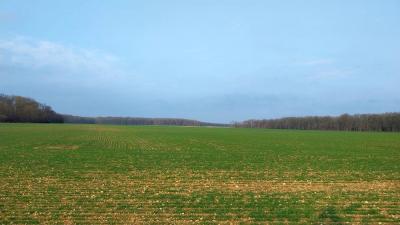 16/03/2025 Rueil la Gadelière