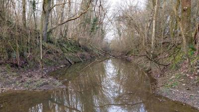 16/03/2025 Rueil la Gadelière