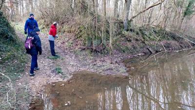 16/03/2025 Rueil la Gadelière