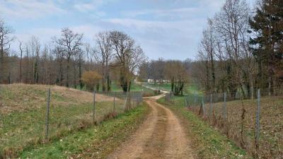 16/03/2025 Rueil la Gadelière