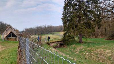 16/03/2025 Rueil la Gadelière