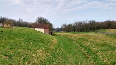 16/03/2025 Rueil la Gadelière
