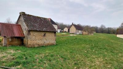16/03/2025 Rueil la Gadelière
