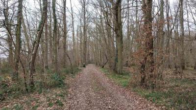 16/03/2025 Rueil la Gadelière