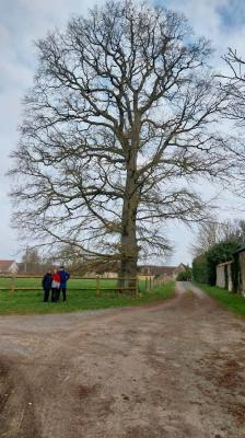 16/03/2025 Rueil la Gadelière