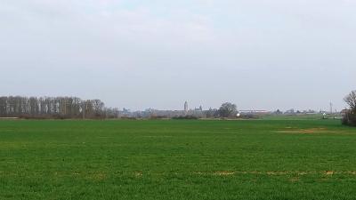 16/03/2025 Rueil la Gadelière