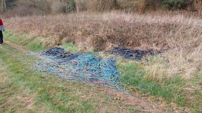 16/03/2025 Rueil la Gadelière