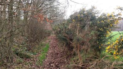 16/03/2025 Rueil la Gadelière