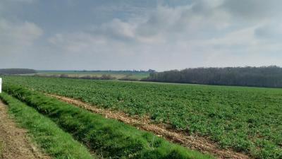 16/03/2025 Rueil la Gadelière