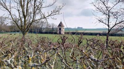 16/03/2025 Rueil la Gadelière