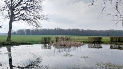 16/03/2025 Rueil la Gadelière