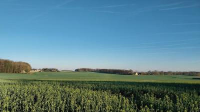 06/04/2025 Hauterive