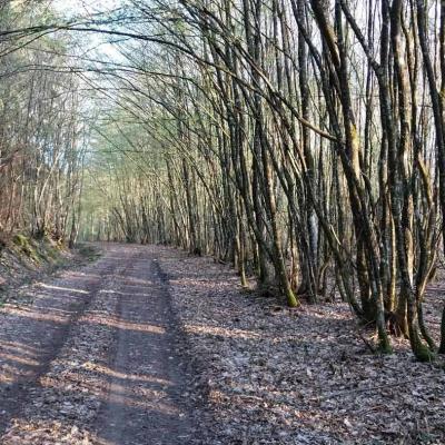 06/04/2025 Hauterive
