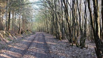 06/04/2025 Hauterive