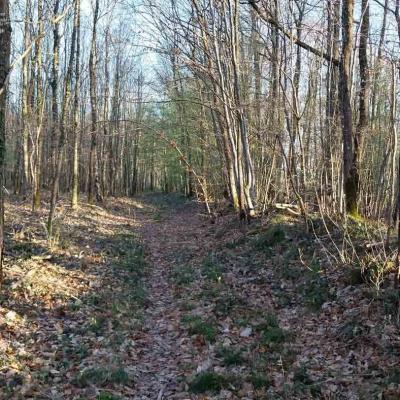 06/04/2025 Hauterive