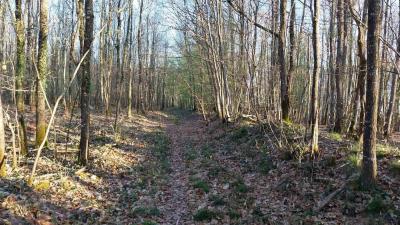 06/04/2025 Hauterive