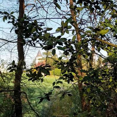 06/04/2025 Hauterive