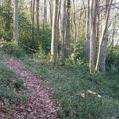 06/04/2025 Hauterive