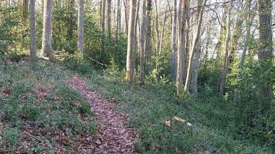 06/04/2025 Hauterive