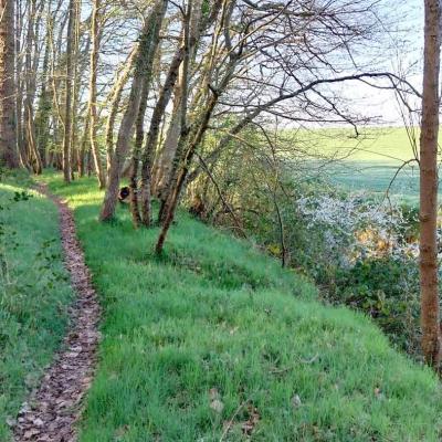 06/04/2025 Hauterive