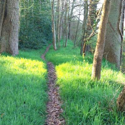 06/04/2025 Hauterive