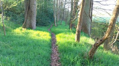 06/04/2025 Hauterive