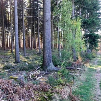 06/04/2025 Hauterive