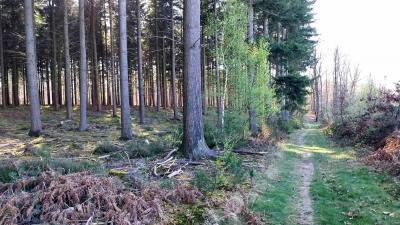 06/04/2025 Hauterive