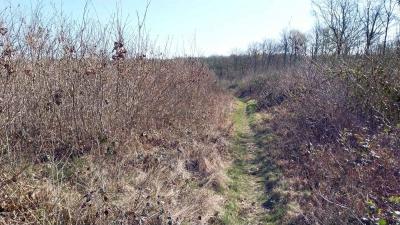 06/04/2025 Hauterive