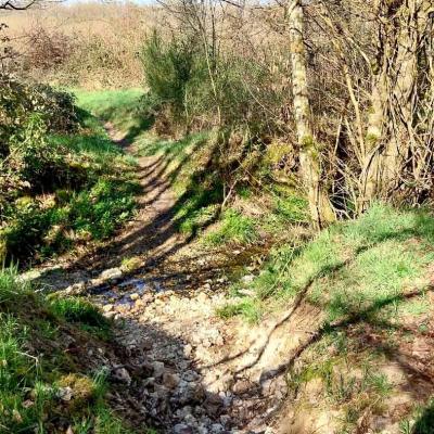 06/04/2025 Hauterive