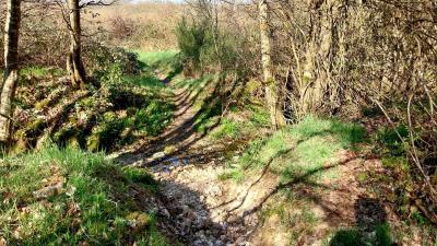 06/04/2025 Hauterive