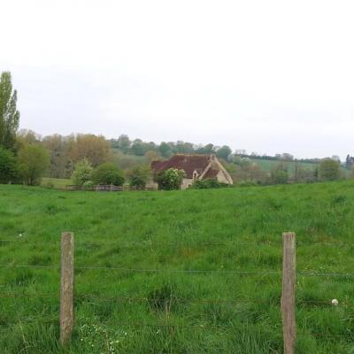 13/04/2025 Colonard